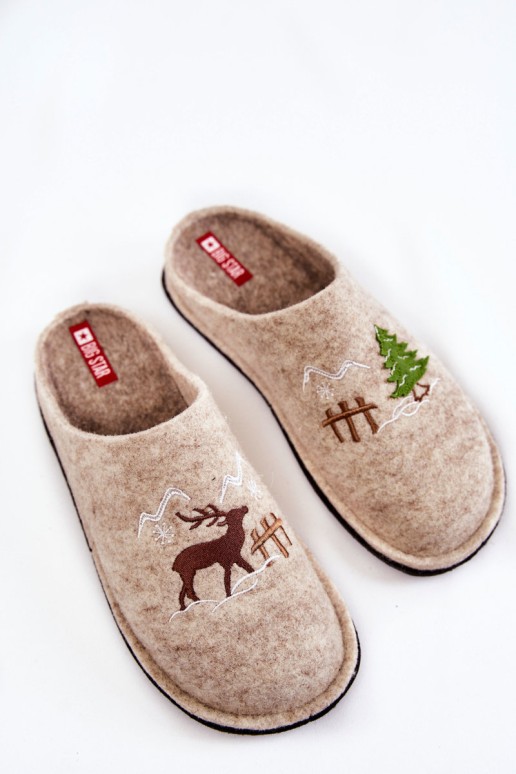 Domestic slippers Big Star KK276016 Beige