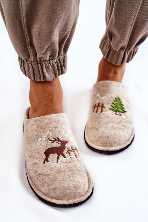 Domestic slippers Big Star KK276016 Beige