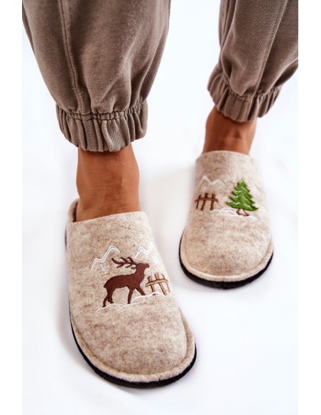 Domestic slippers Big Star KK276016 Beige