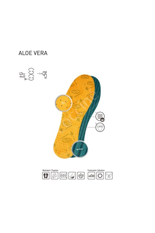 Coccine Aloe Vera gydomieji vidpadžiai