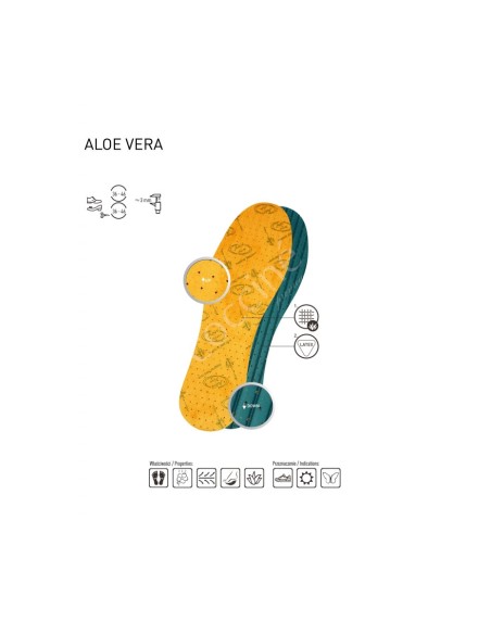 Coccine Aloe Vera Therapeutic Insoles