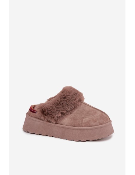 Women's snow boots on platform with fur and embroidery dark beige Querina