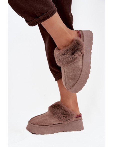 Women's snow boots on platform with fur and embroidery dark beige Querina