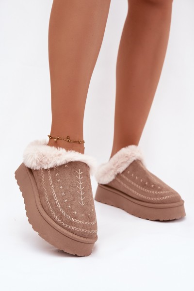 Women's Snow Boots On Platform With Fur And Stitching Dark Beige Arelina