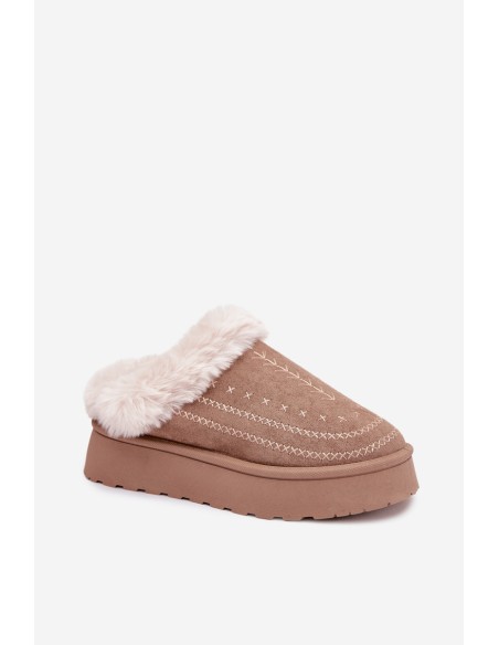 Women's Snow Boots On Platform With Fur And Stitching Dark Beige Arelina