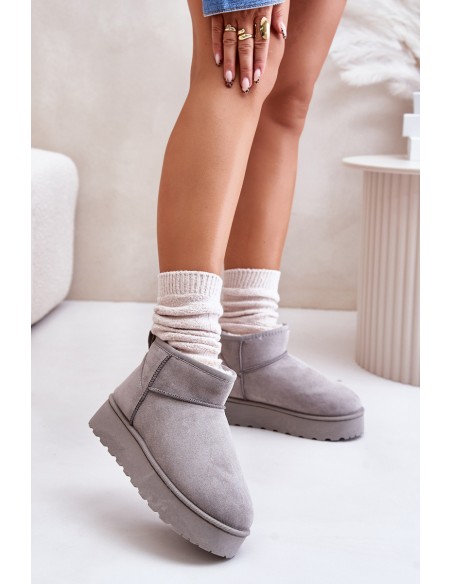 Women's Snow Boots On Platform Insulated With Fur Gray Xamella