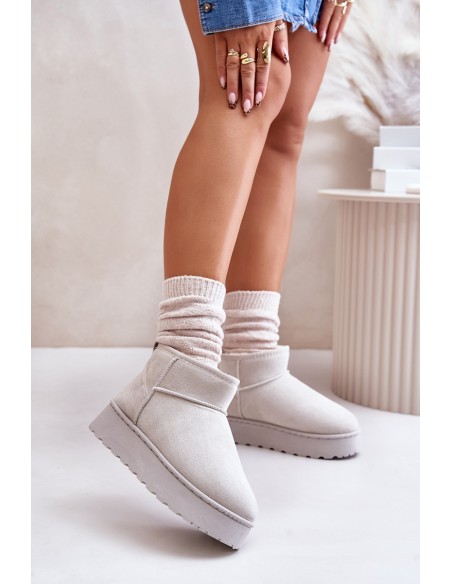 Women's Snow Boots On Platform Insulated With Fur Light Gray Xamella