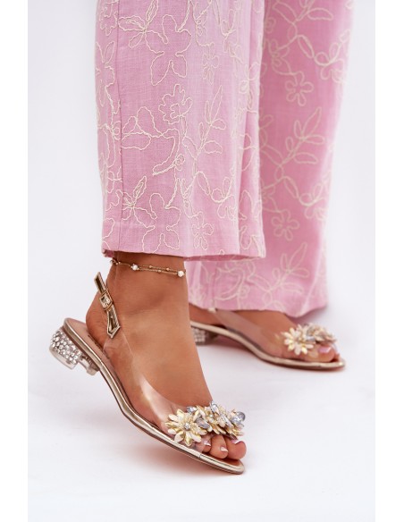 Permatomos basutės žemu kulnu ir dekoracijomis D&A MR51-709 auksinės