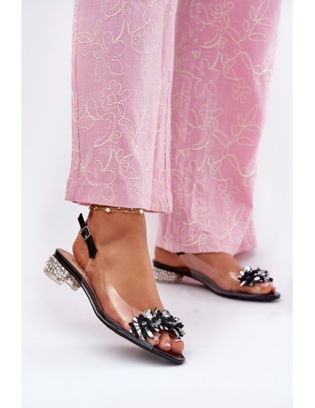 Transparent Low Heel Sandals With Decoration D&A MR51-709 Black