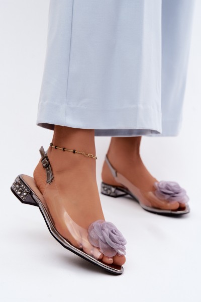 Women's Transparent Sandals With Rose D&A MR61-9003 Graphite
