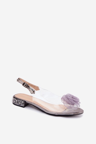 Women's Transparent Sandals With Rose D&A MR61-9003 Graphite 2