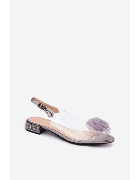 Women's Transparent Sandals With Rose D&A MR61-9003 Graphite
