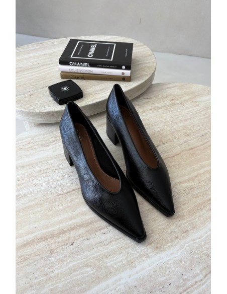Black Women's Pointed Toe Block Heel Shoes Lavisa